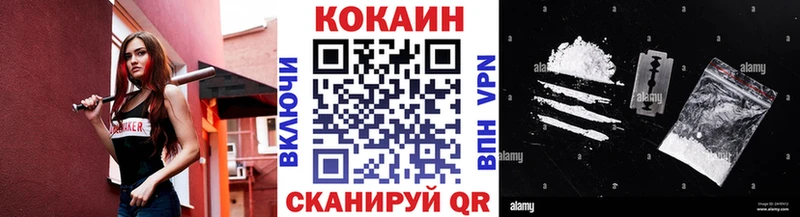 где можно купить   дарк нет состав  Кокаин Fish Scale  Вязники 