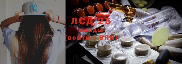 сатива Бородино