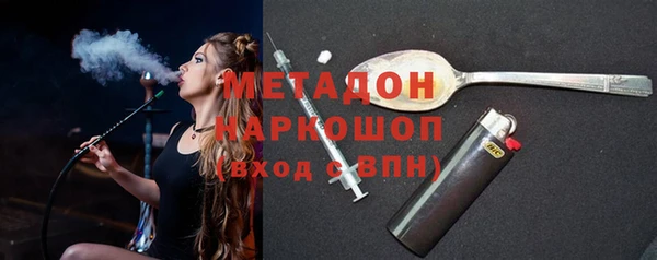 сатива Бородино
