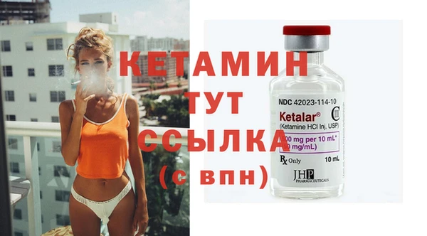 сатива Бородино