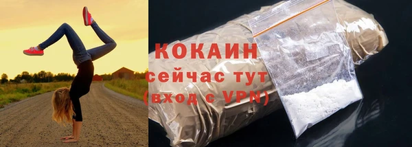 мдпв Болхов