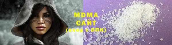 сатива Бородино