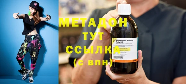 сатива Бородино