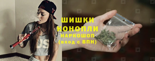 сатива Бородино