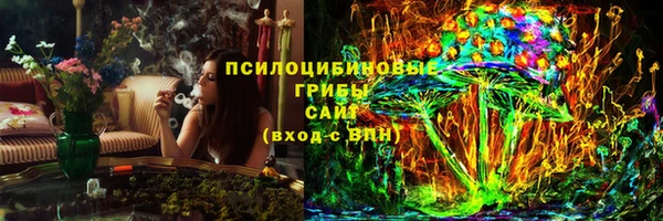 сатива Бородино