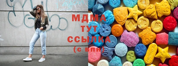 сатива Бородино
