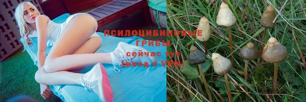 mix Болотное